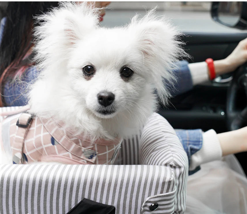 Pomeranian Dog Car Seat