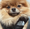 The Dog Face Pomeranian Vest