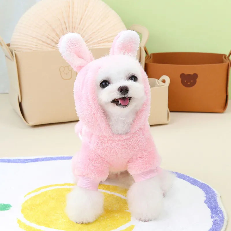 Rabbit Dog Costume