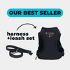 Black Pomeranian Harness & Leash Set