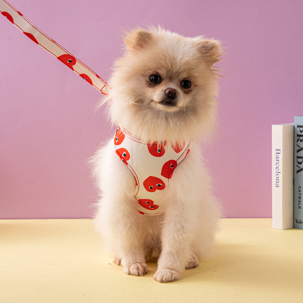 Red Hearts Pomeranian Dog Harness & Leash Set