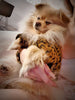 Load image into Gallery viewer, Furdi Elegant Dog Sweater