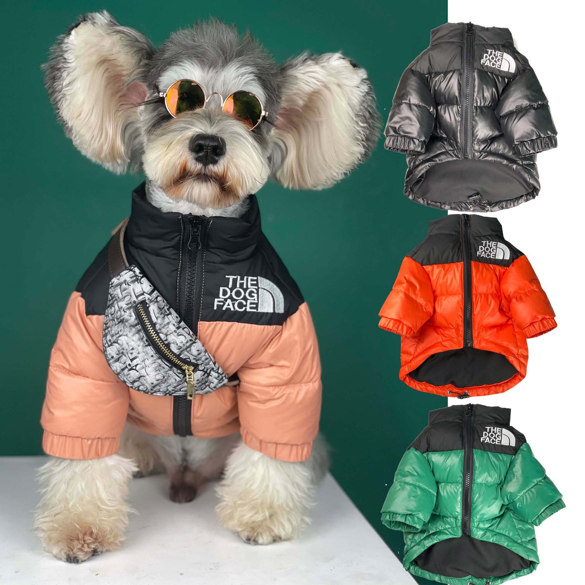 The Dog Face Puffer Jacket New Edition – Pomplanet