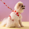 Red Hearts Pomeranian Dog Harness & Leash Set