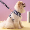 Load image into Gallery viewer, Dogior Pomeranian Dog Harness &amp; Leash Set
