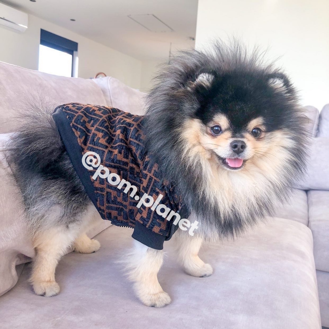 Furdi Designer Dog Jacket