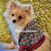 Load image into Gallery viewer, Pawcci Designer Dog Jacket