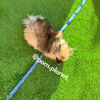 Load image into Gallery viewer, Denim Dog Harness &amp; Leash Set
