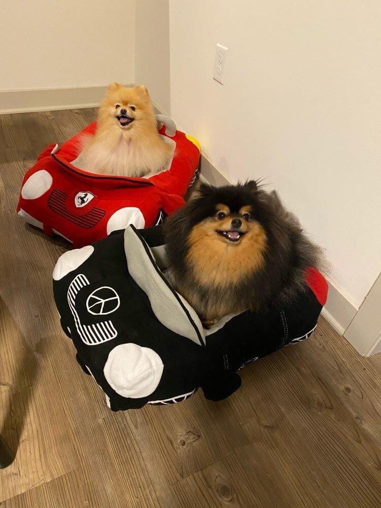 Pawcedes Luxury Car Dog Bed